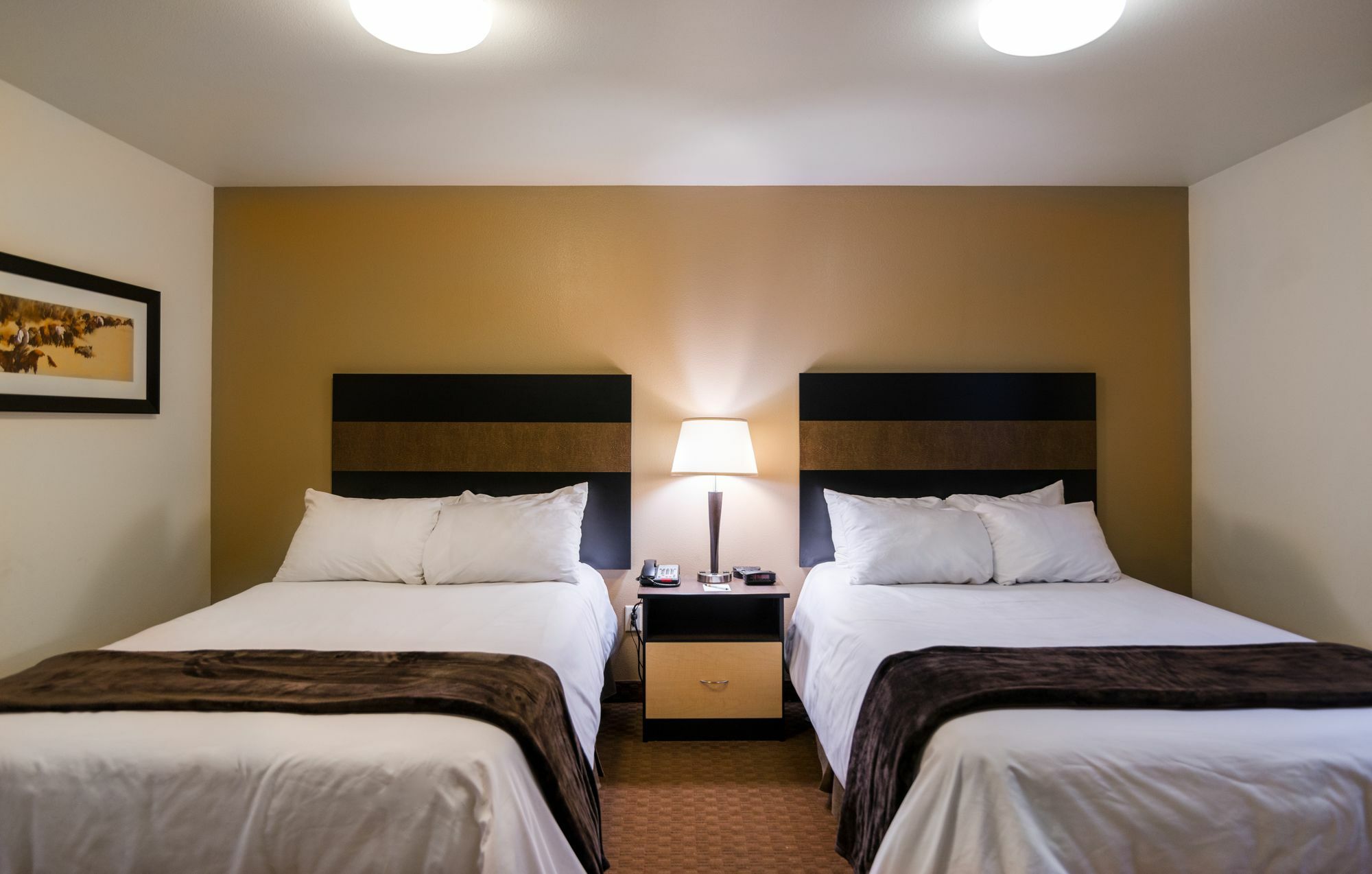 My Place Hotel-Dickinson, Nd Экстерьер фото